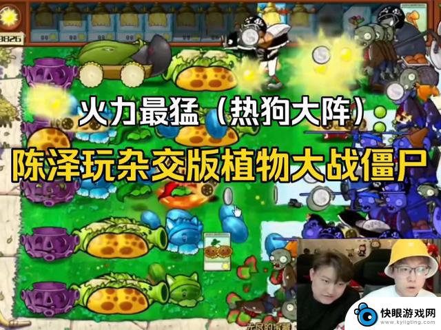 少年的坚持不懈：植物大战僵尸的独特杂交版