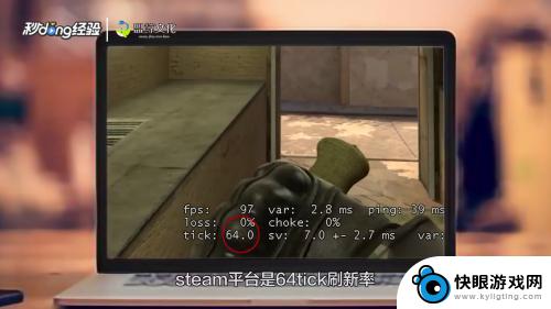 5e和steam有什么区别 5E平台和steam的对比