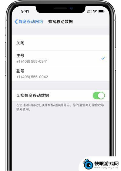 苹果手机为什么不支持两张电信卡 是否可以通过软件或设置实现 iPhone XR/XS Max 双电信卡功能