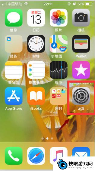 苹果手机未受信任开发在哪里设置 苹果手机APP 怎么在设置中信任开发者