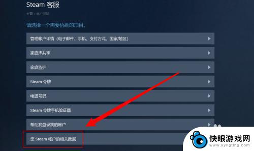 steam最近在 Steam登录记录怎么查看