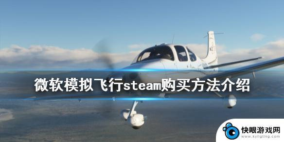 微软模拟飞行2020steam购买 steam平台购买《微软模拟飞行2020》的方法