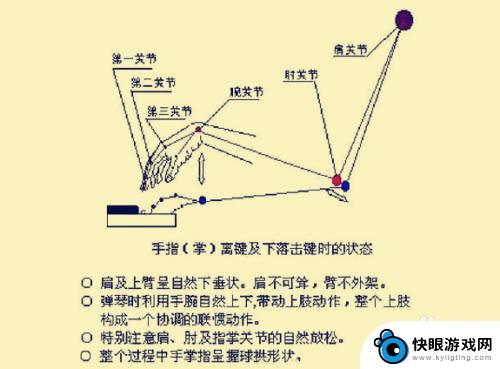 学钢琴手怎么放键位 钢琴基本指法手型图示例