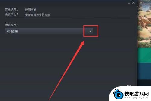 steam好友怎么直播 Steam开直播教程