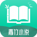 青竹小說app