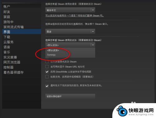 steam皮肤应该怎么用 Steam皮肤怎么换成好看的