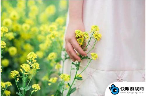 如何手机拍摄油菜花 油菜花人像摄影技巧