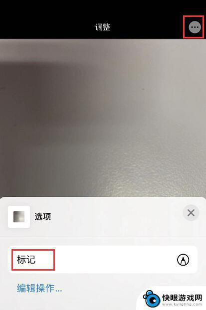 苹果手机给照片添加文字 iPhone 标记功能添加文字步骤