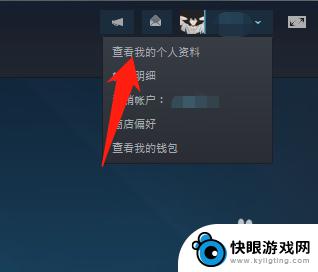 steam怎么设置没好友 Steam怎么设置让好友看不到自己在玩什么游戏