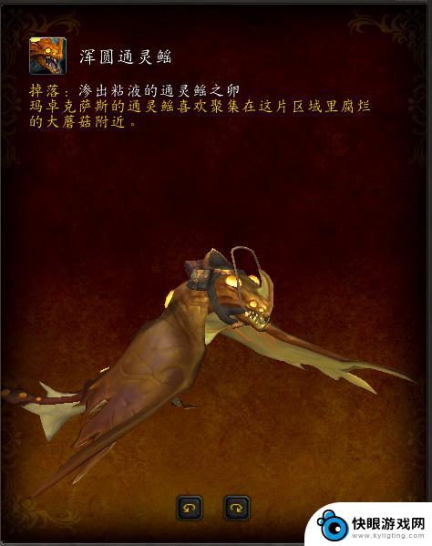 魔兽通灵鳐 魔兽世界浑圆通灵鳐坐骑怎么获得