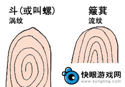 怎么看手机指纹个数 手指纹路怎么识别