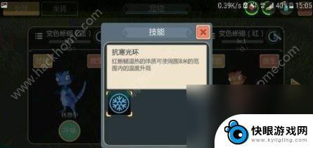 创造与魔法怎么抓宠物和坐骑 创造与魔法宠物大全宠物捕捉指南