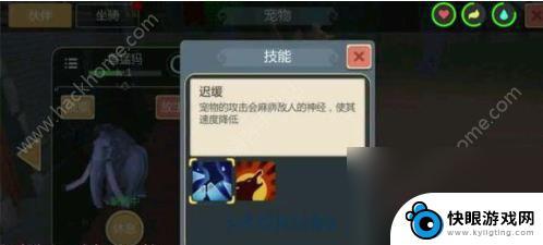 创造与魔法怎么抓宠物和坐骑 创造与魔法宠物大全宠物捕捉指南